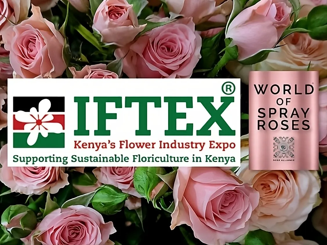 IFTEX_Kenya_2025-transformed
