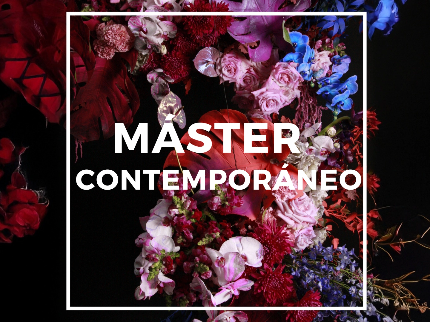 Master Contemporáneo – Savia Bruta Master Contemporáneo – Savia Bruta