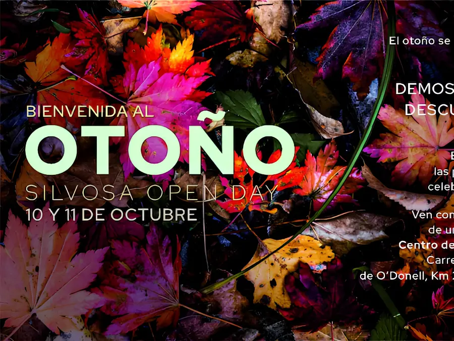 silvosa-open-day
